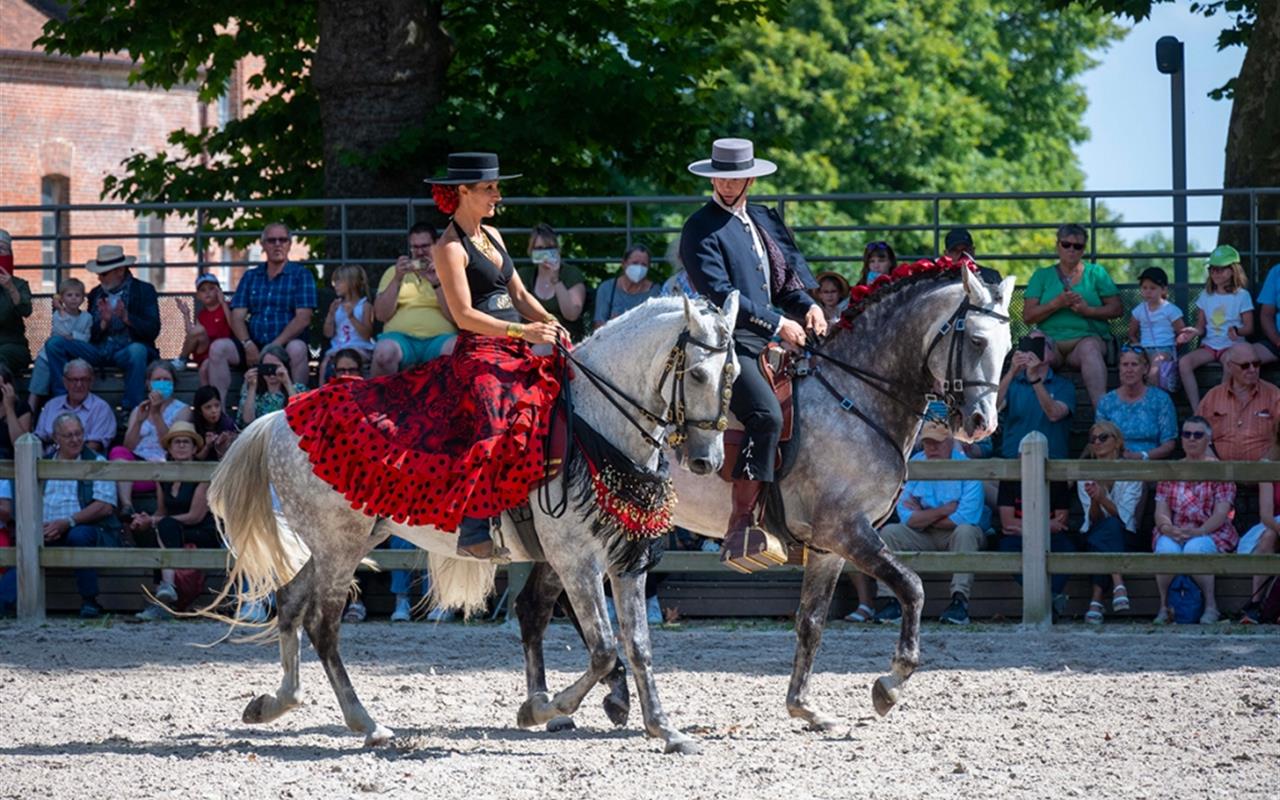 Photo Voyage autocar Hangard Voyages